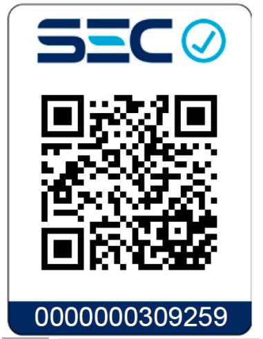 Campana AT-XN Rein 60 2 Motores Inox