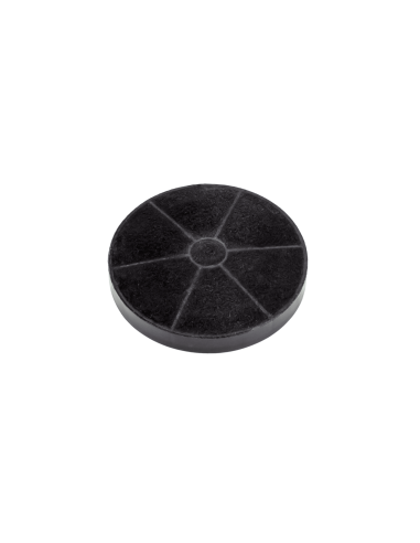 FILTRO CARBÓN CAMPANA REIN