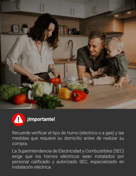 Horno Eléctrico Empotrable Albin Trotter Hannover N16