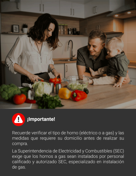 HORNO A GAS AT-XN HAMMER N19