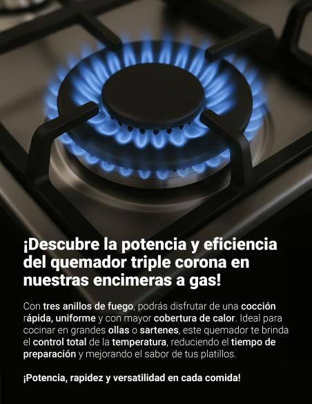 Encimera Gas Licuado Albin Trotter Exclusive 60 FFD 4 Platos