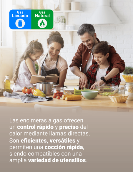 Encimera Gas Licuado Albin Trotter Fein FF FFD 4 Platos